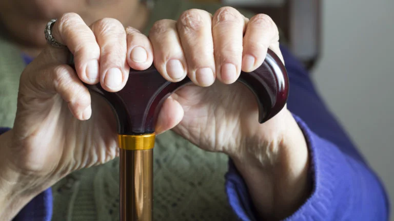 hand holding a cane